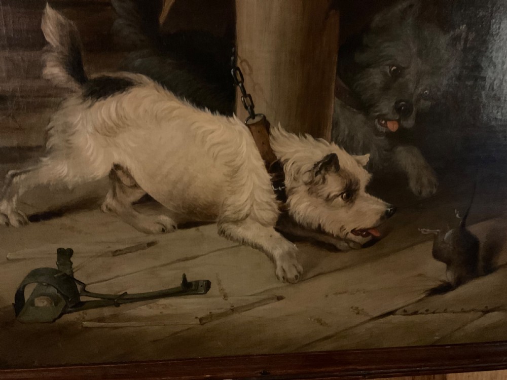A wonderful oil on canvas of two terriers just missing the rat View V