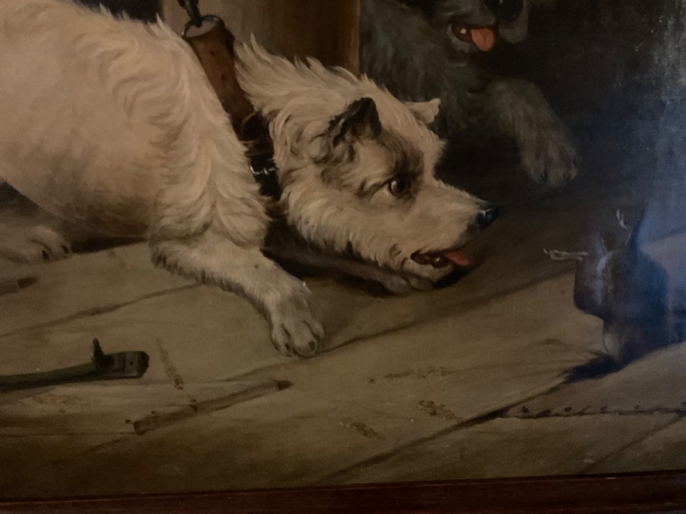 A wonderful oil on canvas of two terriers just missing the rat View VIII