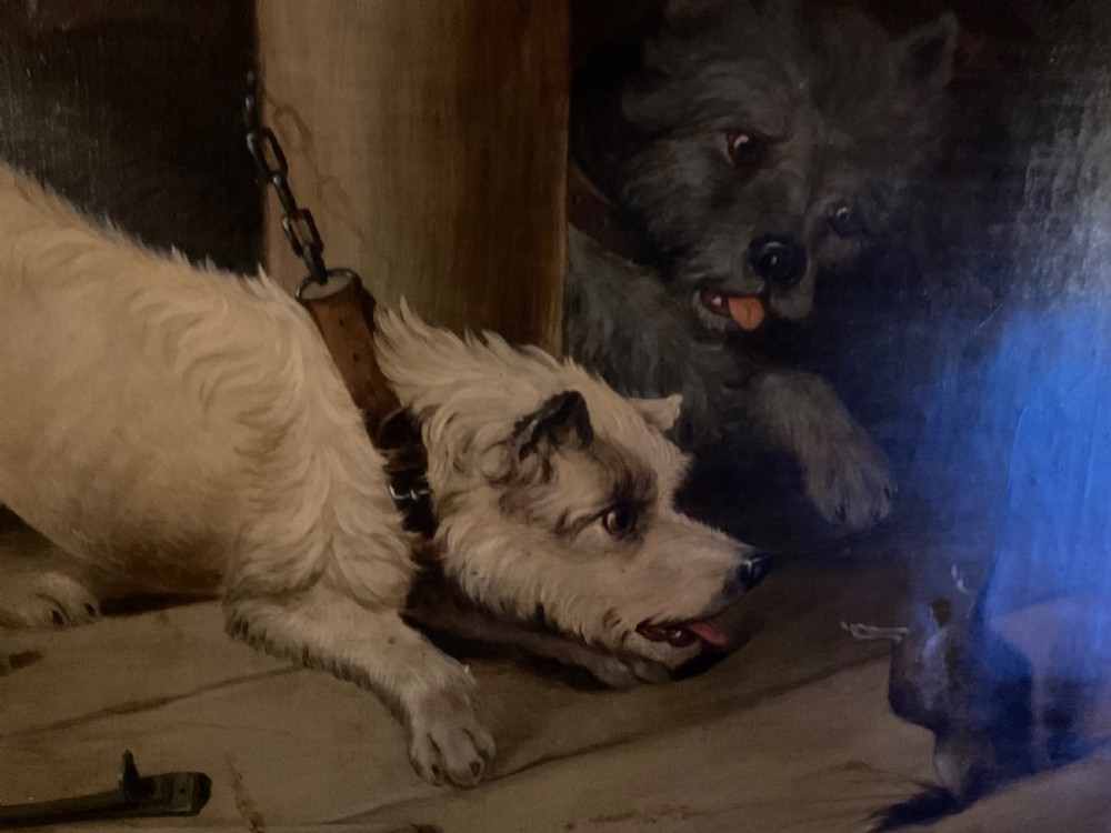 A wonderful oil on canvas of two terriers just missing the rat View IX