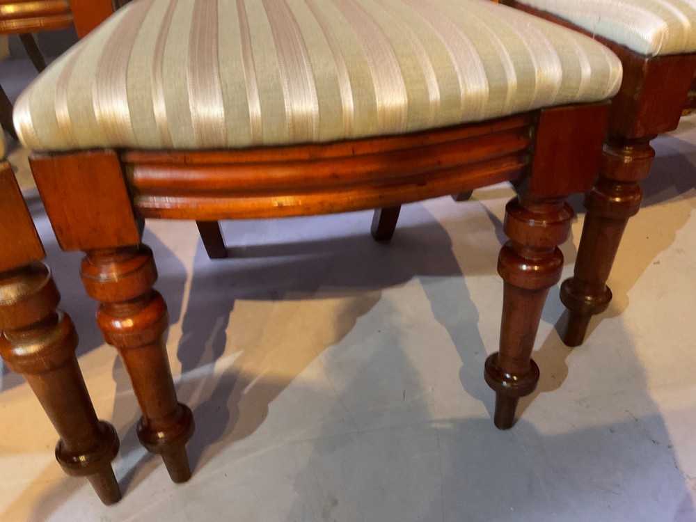 A set of twelve Victorian mahogany balloon back dining chairs featuring carved spear point splats and striped upholstered seats. View XIV