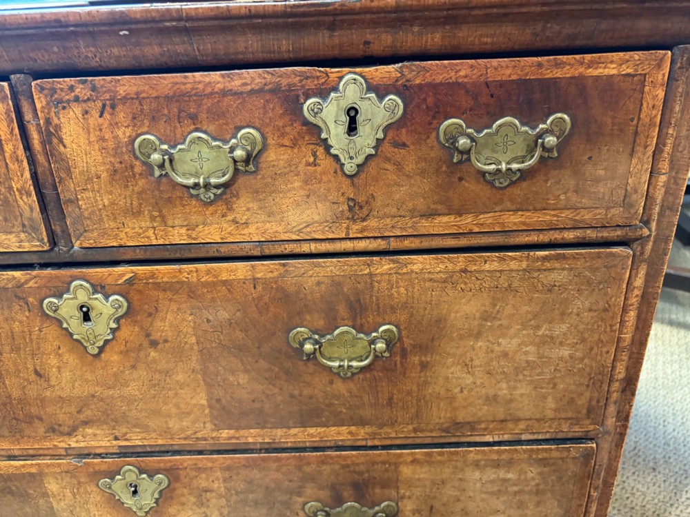 An early eighteenth-century walnut chest of drawers featuring two short drawers over two long drawers with brass drop handles and turned bun feet. View II