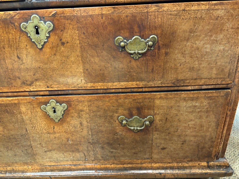 An early eighteenth-century walnut chest of drawers featuring two short drawers over two long drawers with brass drop handles and turned bun feet. View III