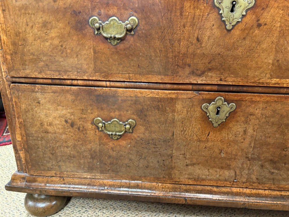 An early eighteenth-century walnut chest of drawers featuring two short drawers over two long drawers with brass drop handles and turned bun feet. View V