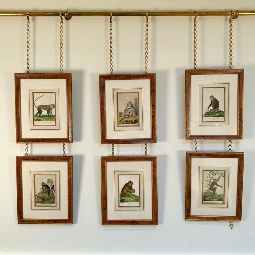 EARLY 19TH C HAND COLOURED MONKEY ENGRAVINGS