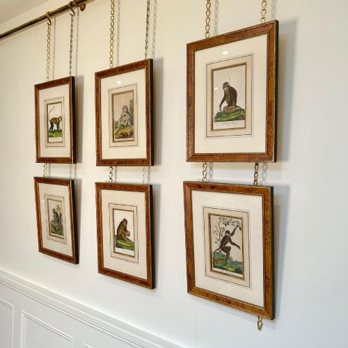 EARLY 19TH C HAND COLOURED MONKEY ENGRAVINGS - ADDITIONAL PHOTO 3