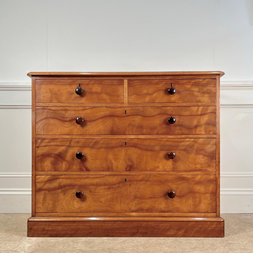 19th C Satin Birch Chest of Drawers by Gillows