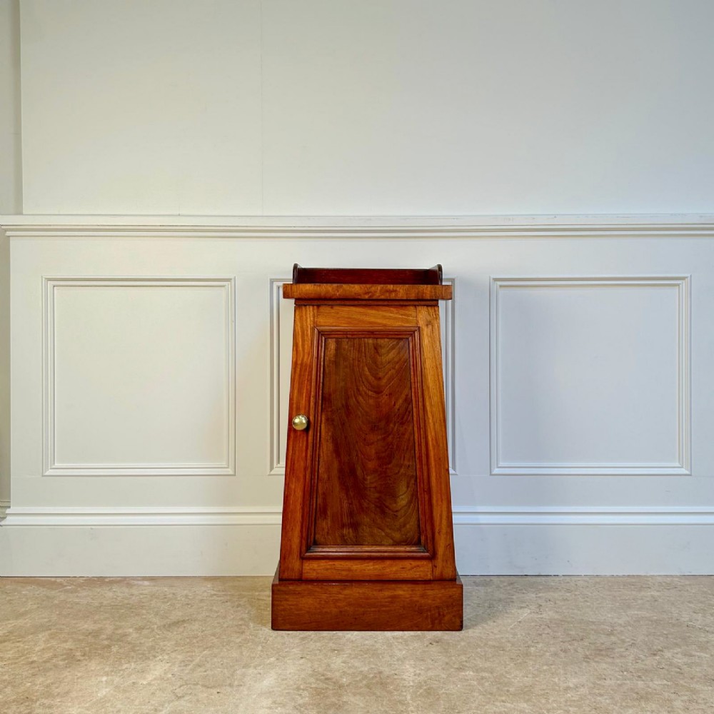 19th C Mahogany Obeliscal Bedisde Cabinet