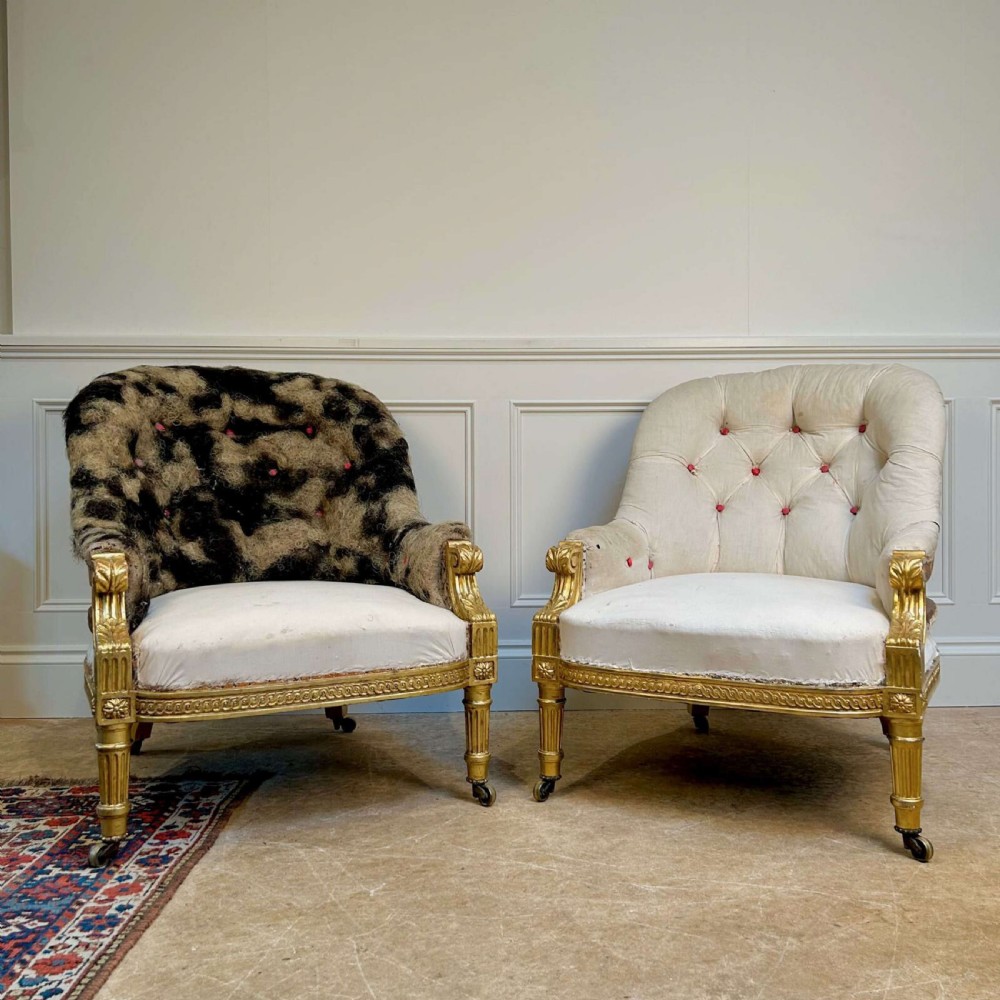 A pair of 19th-century Victorian giltwood armchairs with carved fluted legs, brass castors, and button-backed calico upholstery prepared for restoration.