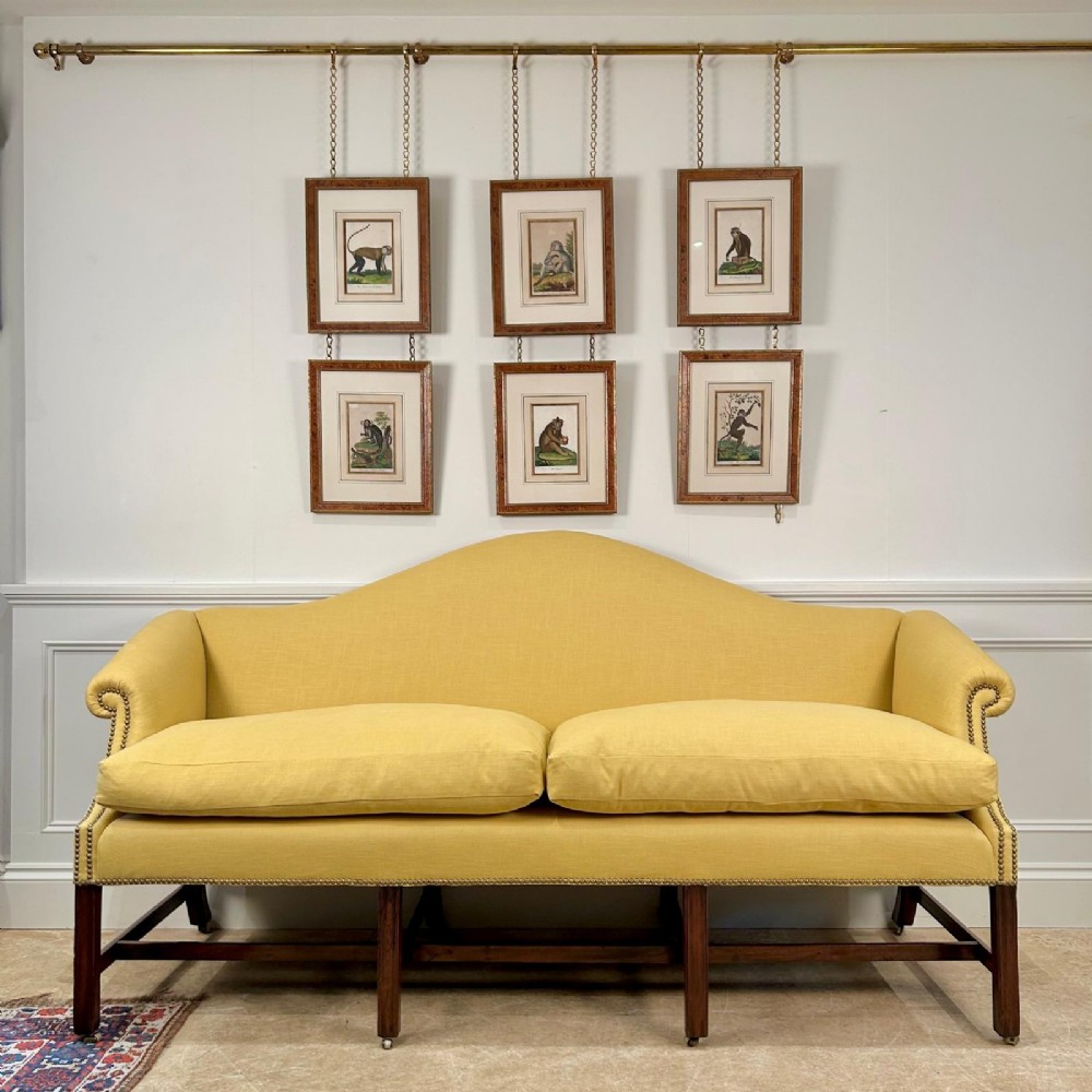 A set of six early nineteenth-century hand-coloured monkey engravings in burr wood frames suspended from a brass rail on chains. View III