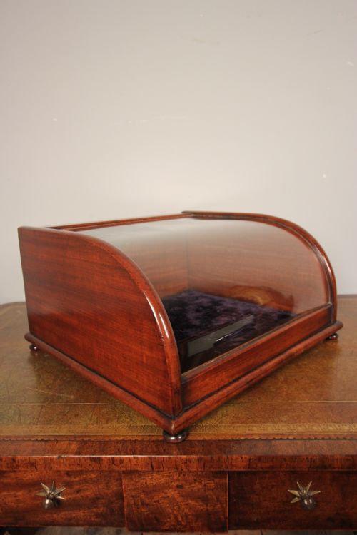 Super Quality 19th C Table Top Display Case