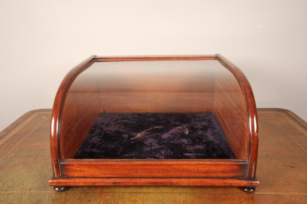 Super Quality 19th C Table Top Display Case View IV
