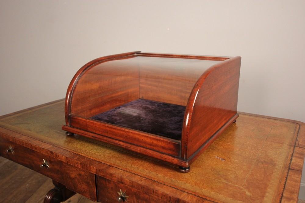 Super Quality 19th C Table Top Display Case View VI