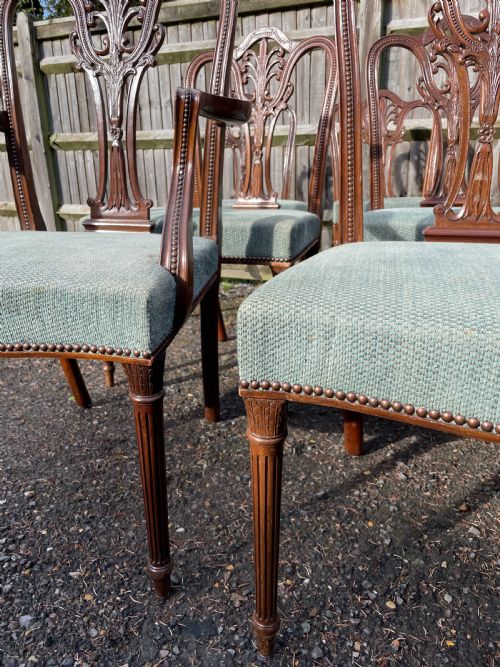 SET OF 12 HEPPLEWHITE STYLE MAHOGANY DINING CHAIRS - ADDITIONAL PHOTO 8