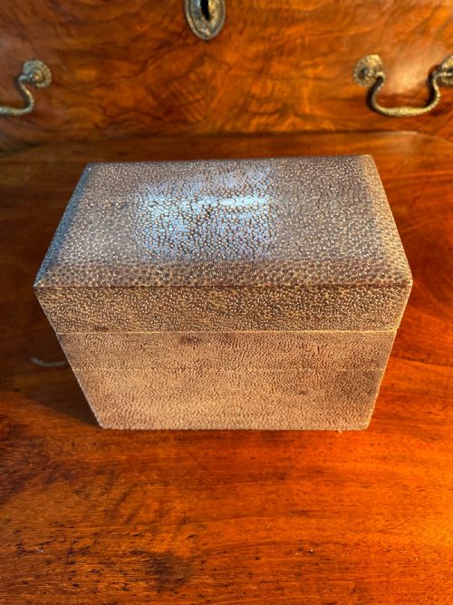 1920s shagreen box - CATEGORY: ANTIQUE BOXES - DATED 1920