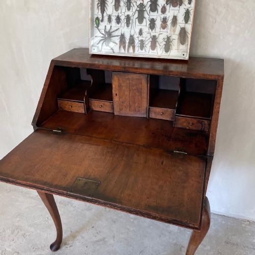 PRETTY QUEEN ANNE REVIVAL BURR ELM WALNUT WRITING DESK C 1920 - ADDITIONAL PHOTO 5