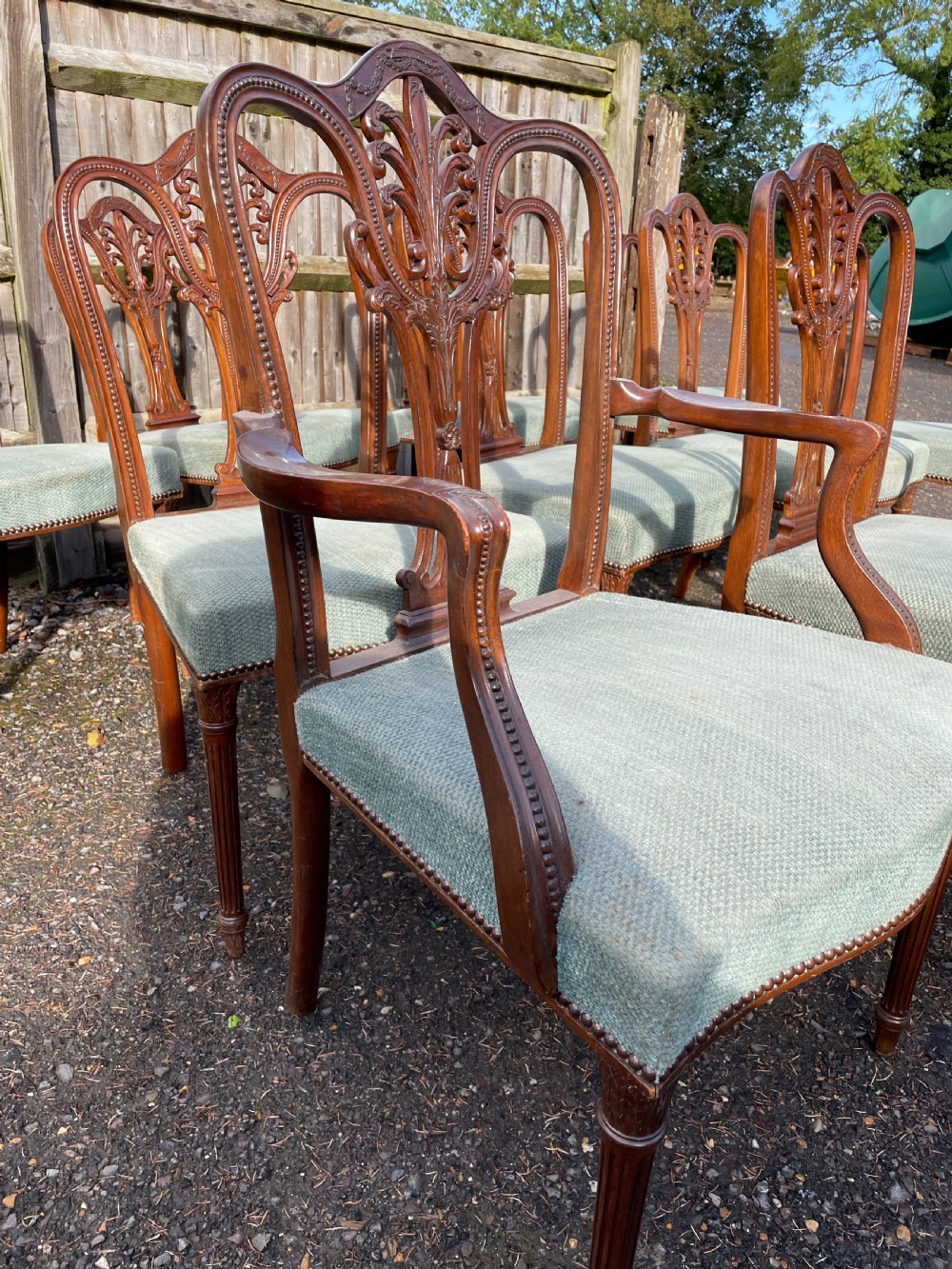Set of 12  Hepplewhite Style Mahogany  Dining chairs  View II