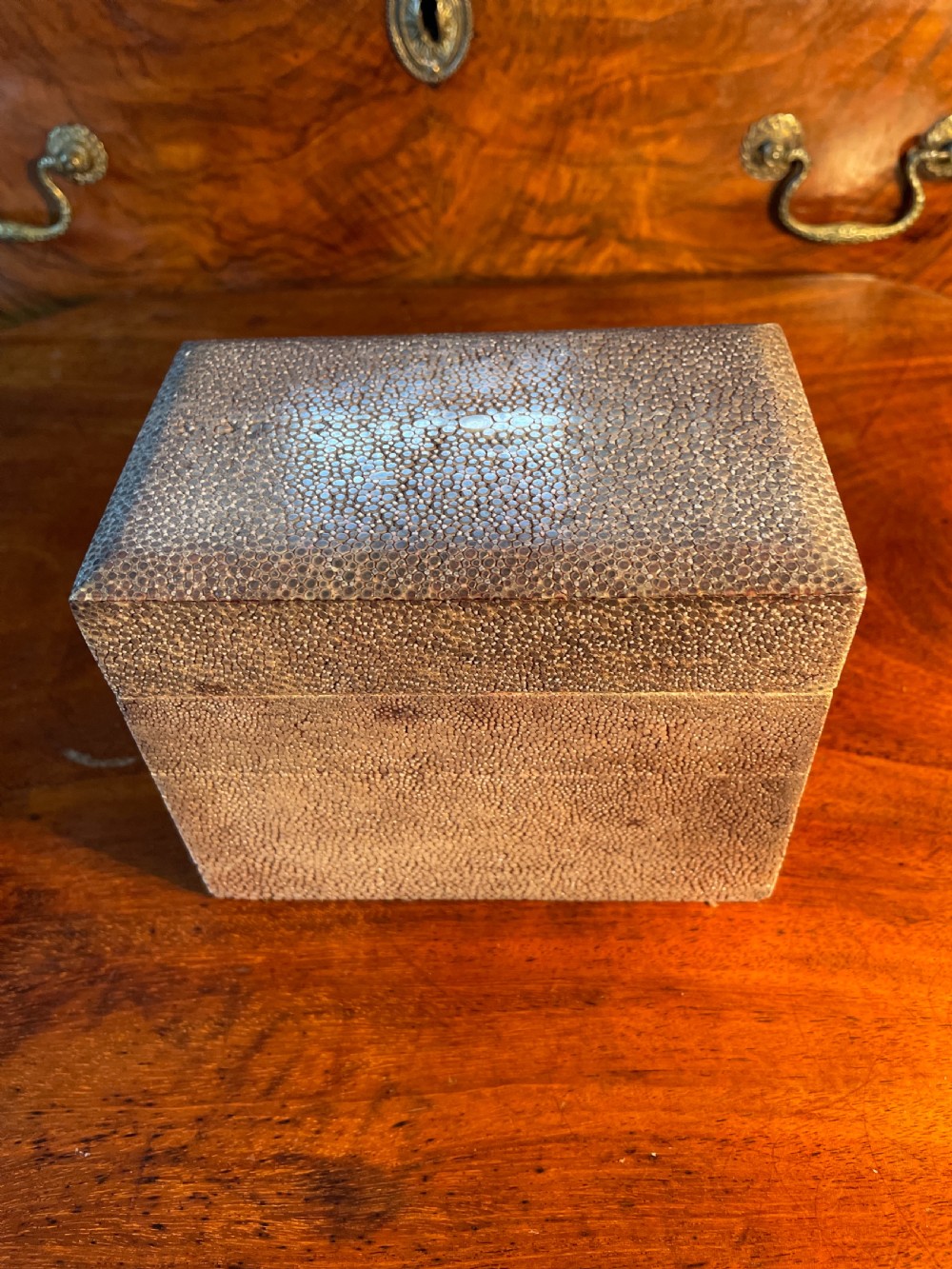 1920s Shagreen box 