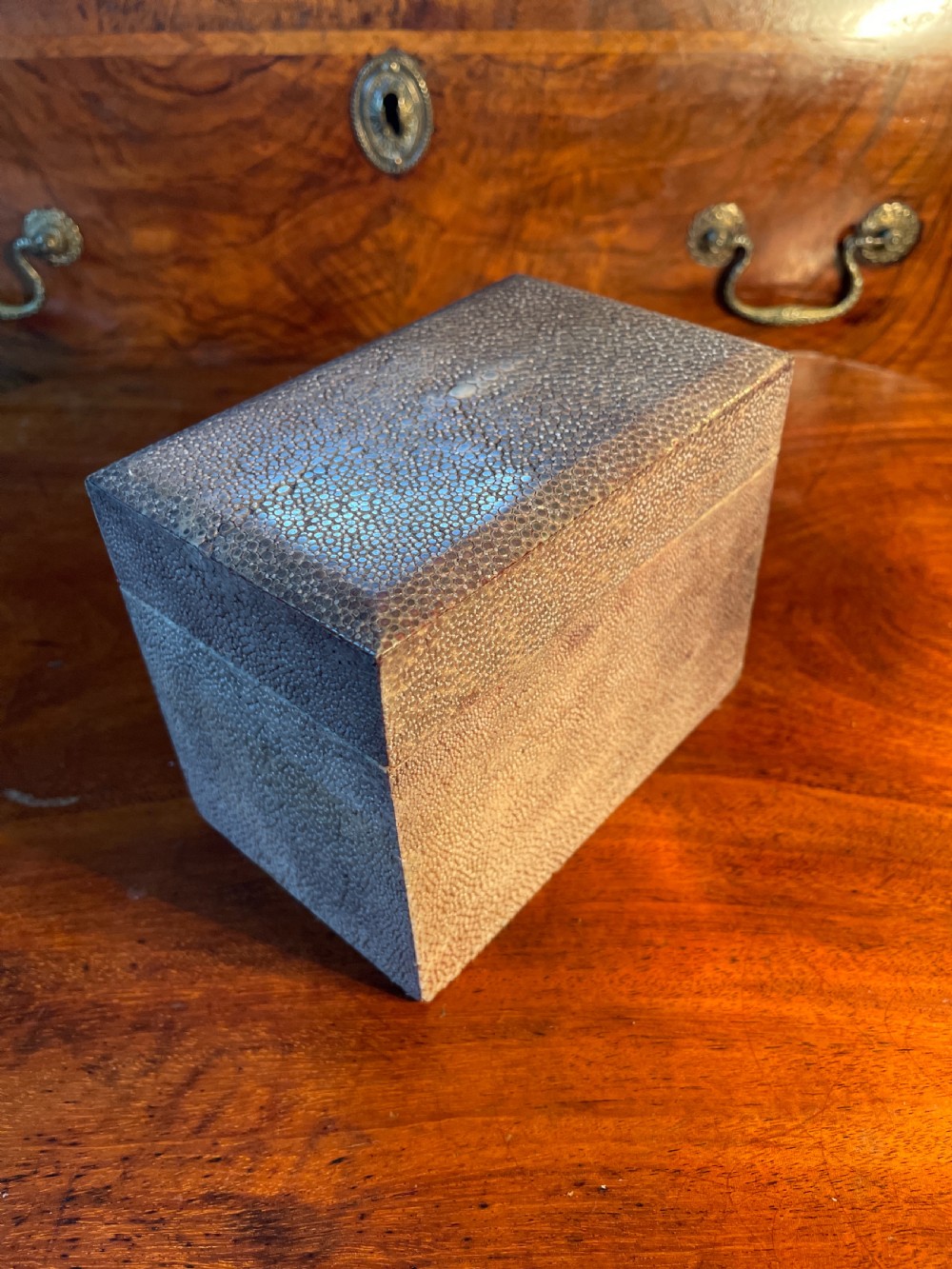 1920s Shagreen box  View II
