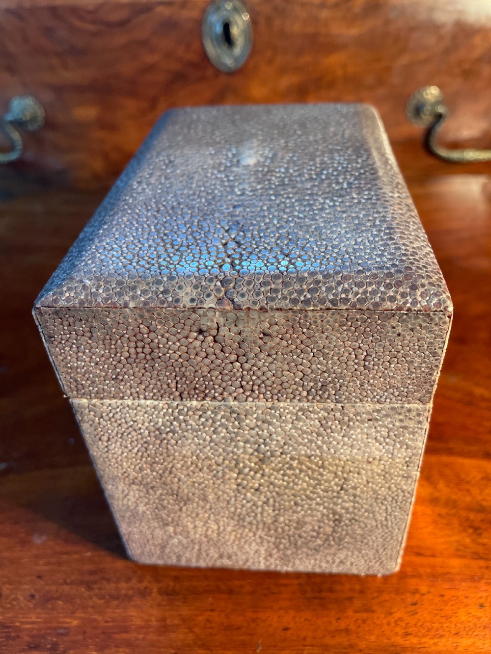 1920s Shagreen box  View III