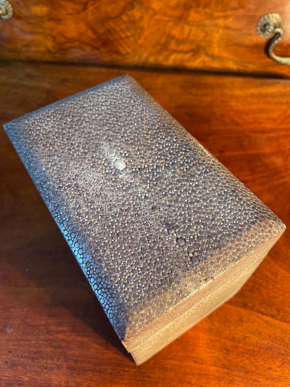 1920s Shagreen box  View IV