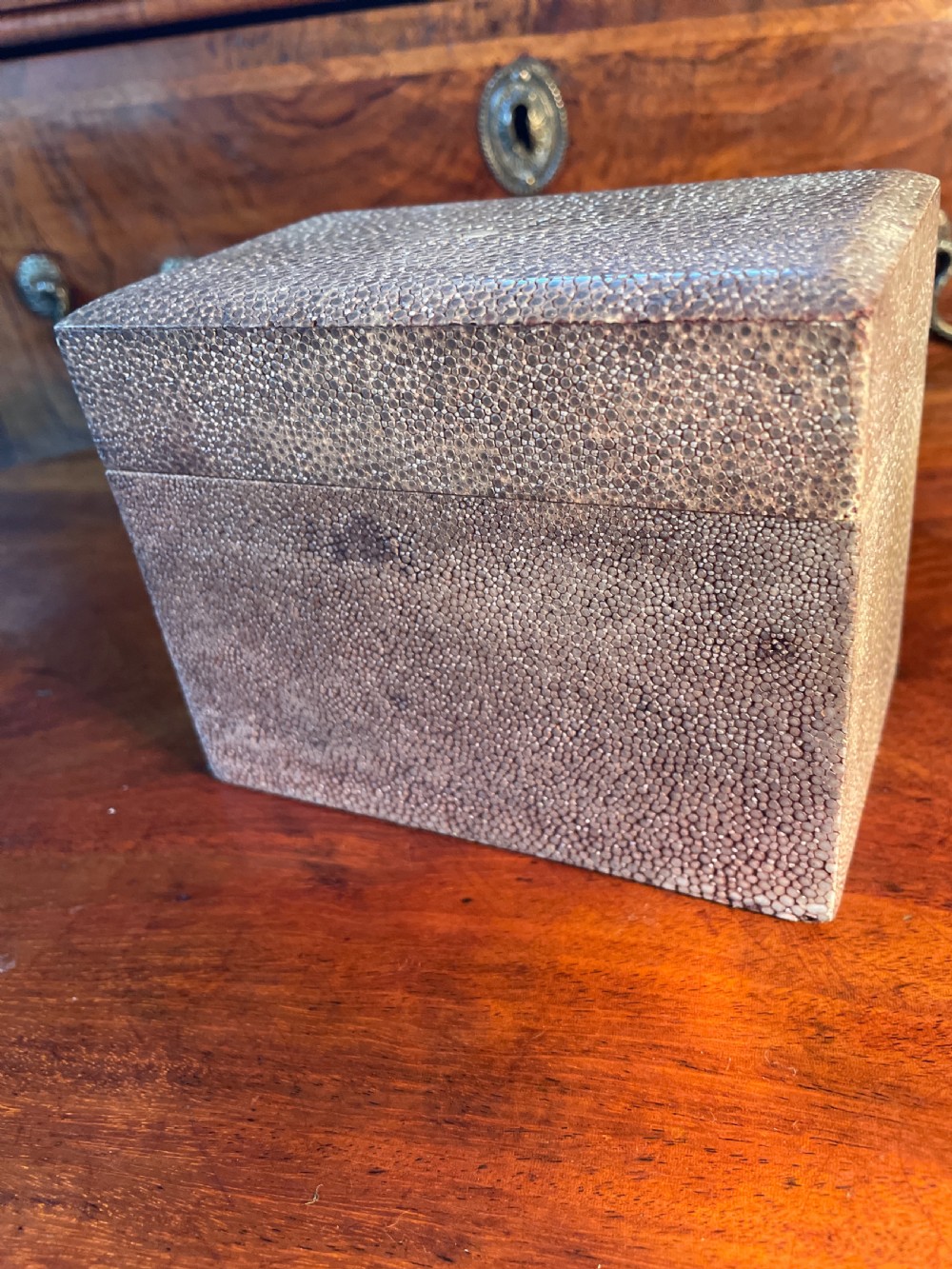 1920s Shagreen box  View V