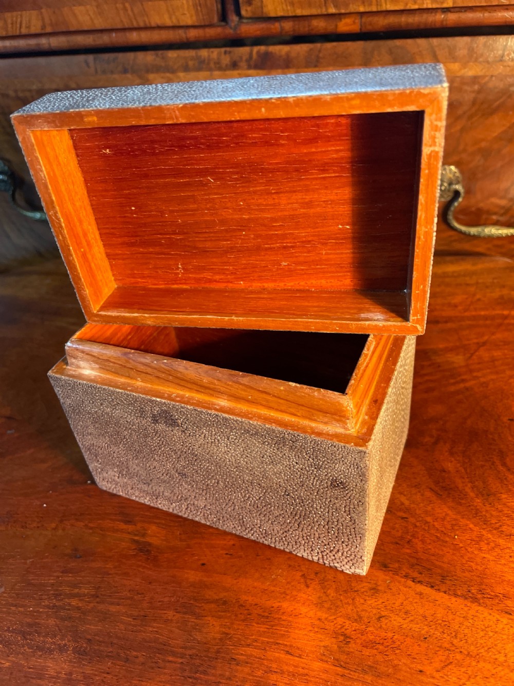 1920s Shagreen box  View VI