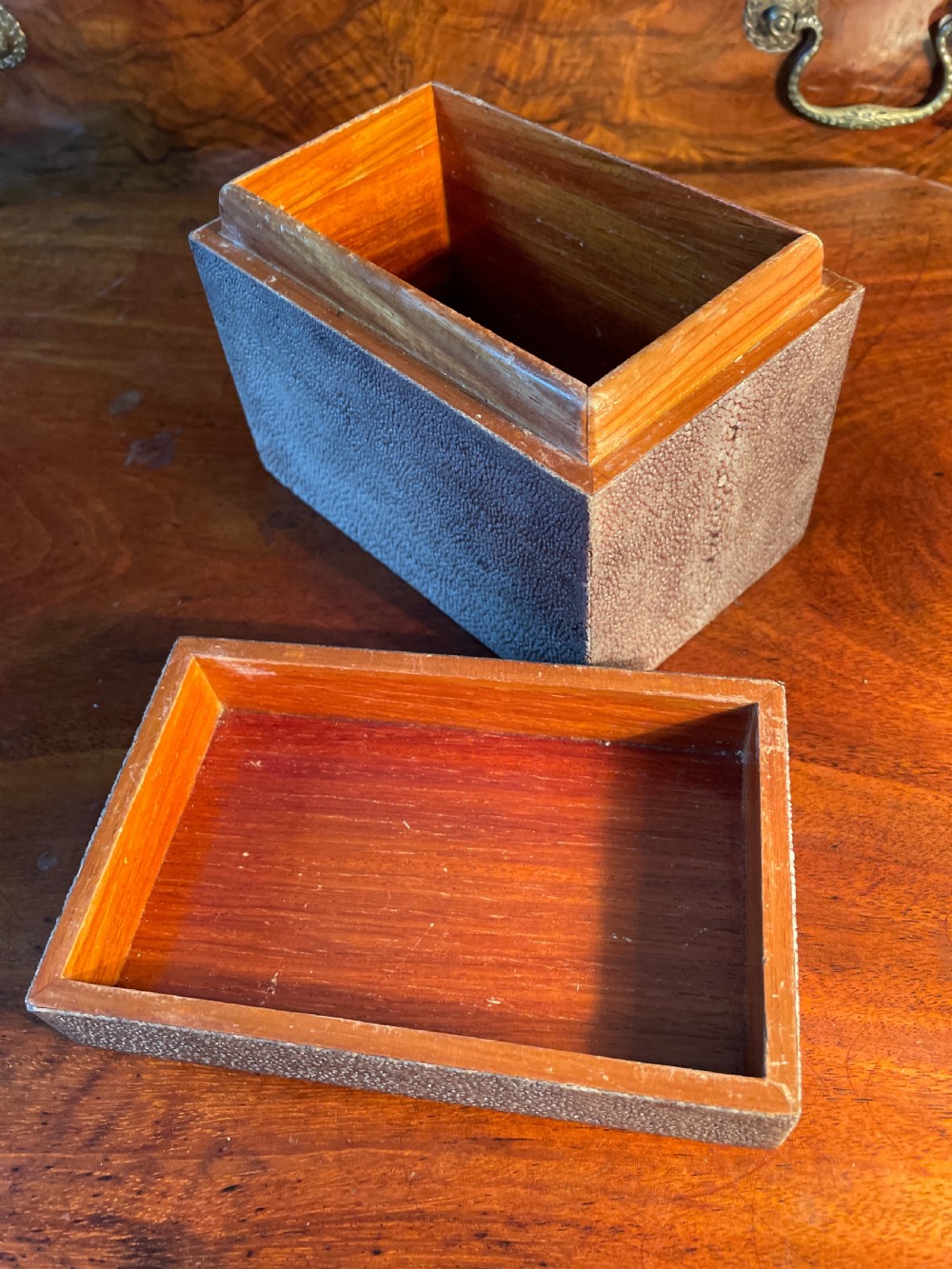 1920s Shagreen box  View VII