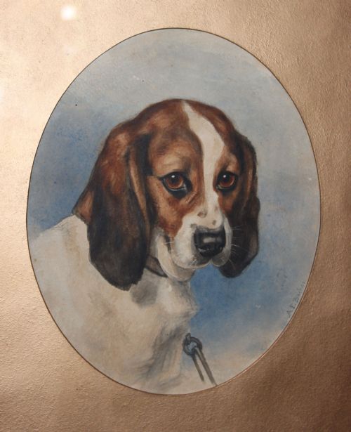 Victorian Watercolour Dog Portrait of a Beagle
