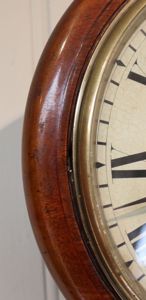 fig 1. Mahogany 10