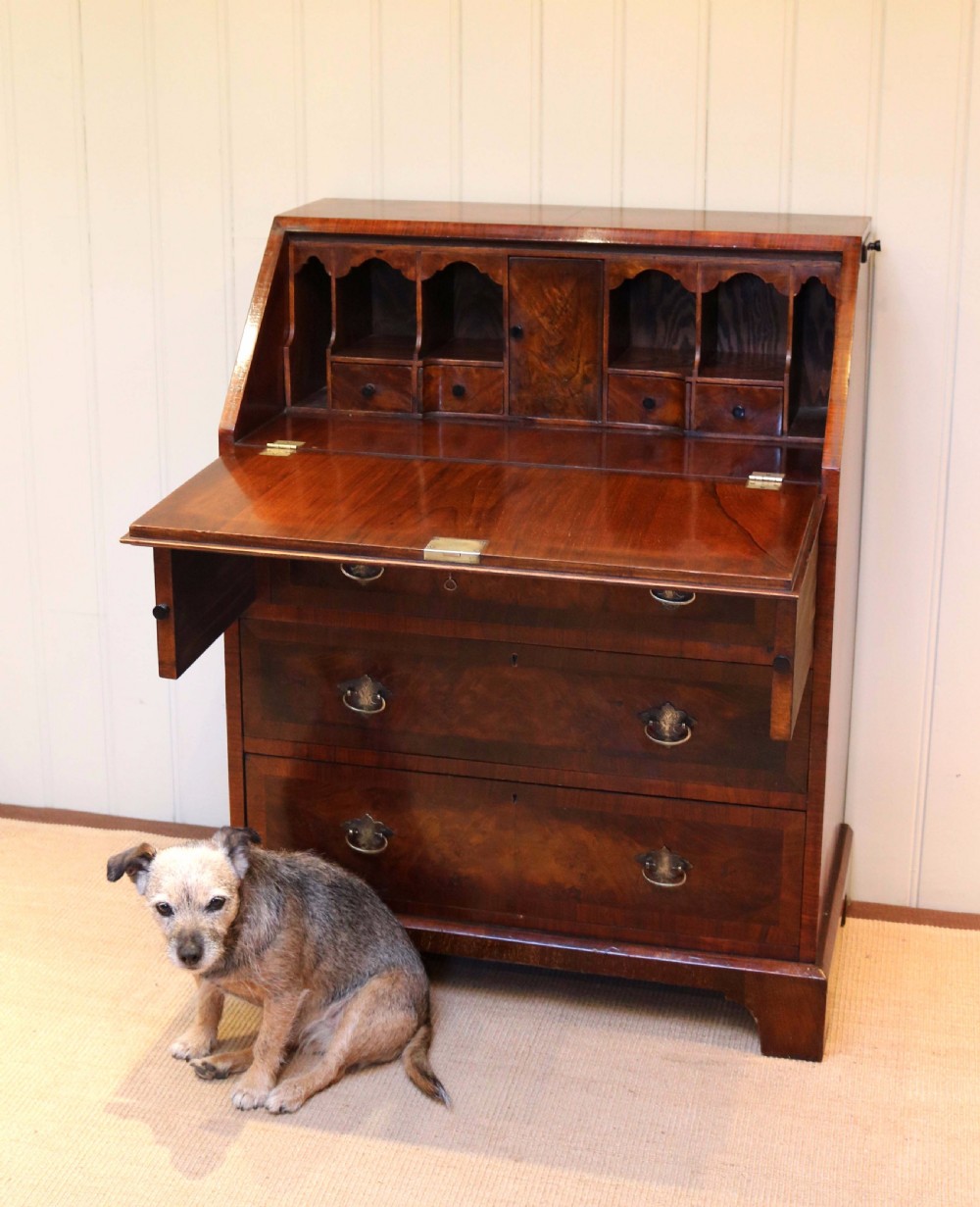 Burr Walnut Bureau View IV