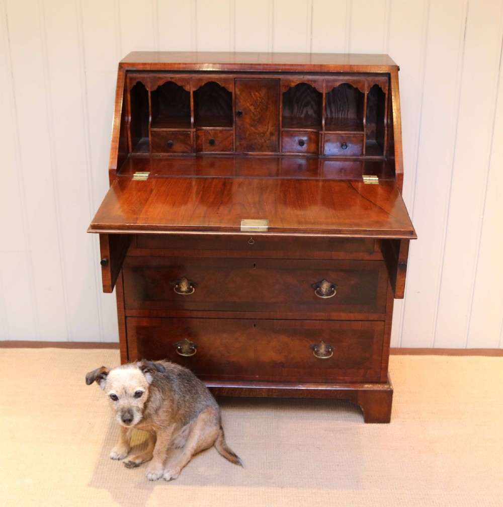 Burr Walnut Bureau View V