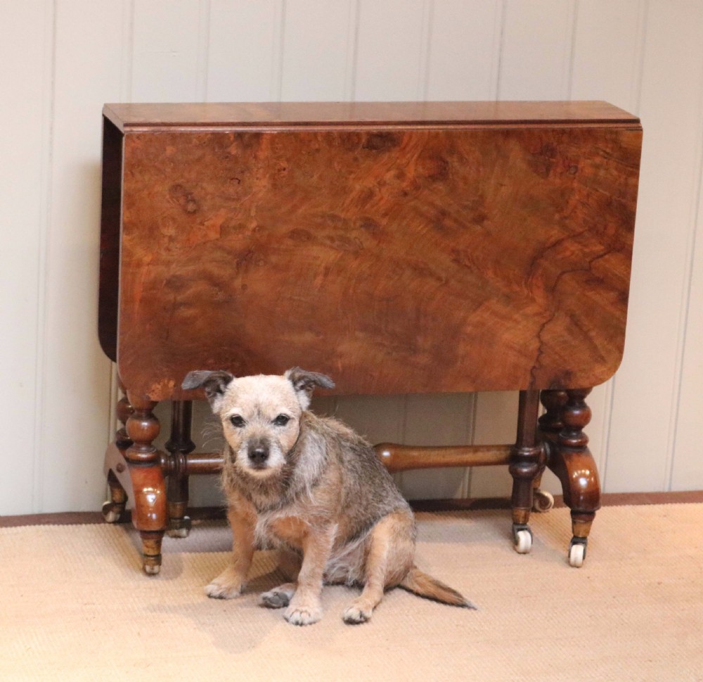 Mid 19th Century Burr Walnut Sutherland Table View VIII
