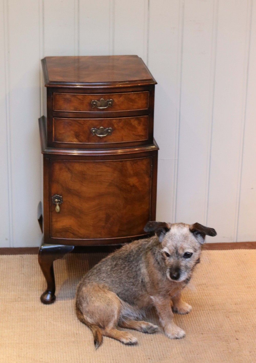 Burr Walnut Cabinet View IV