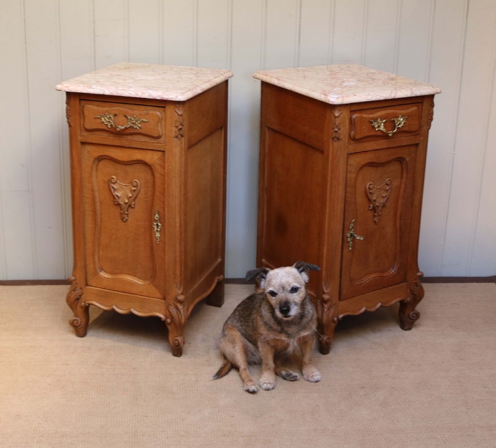 Pair Of French Oak Bedside Cabinets View VII