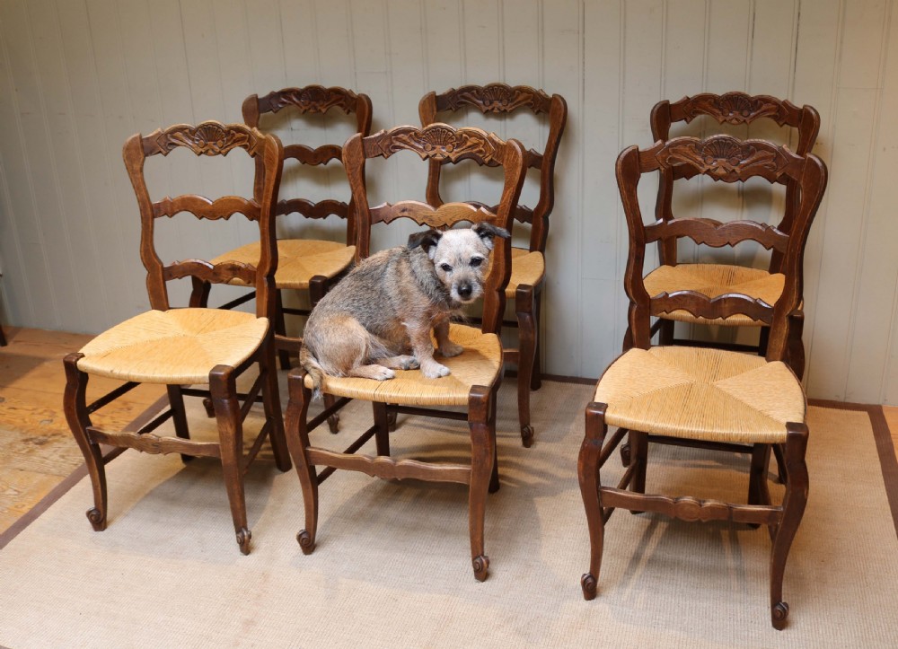 Set Of Six French Oak Dining Chairs  View V