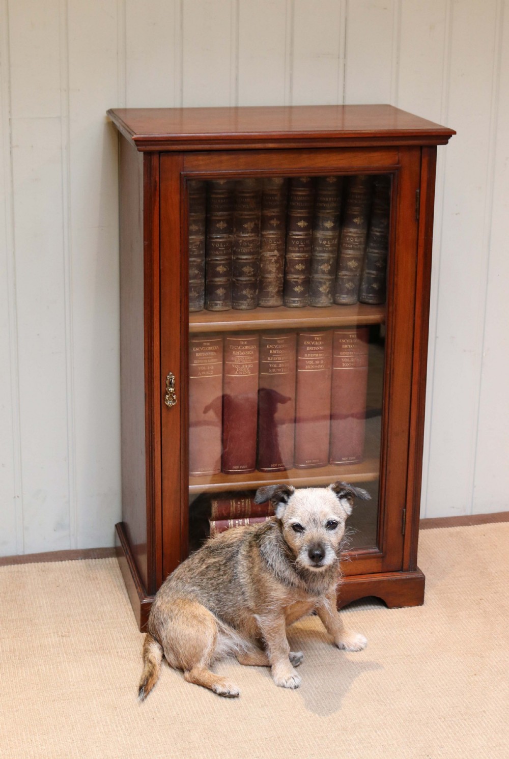 Edwardian Walnut Bookcase  View VII