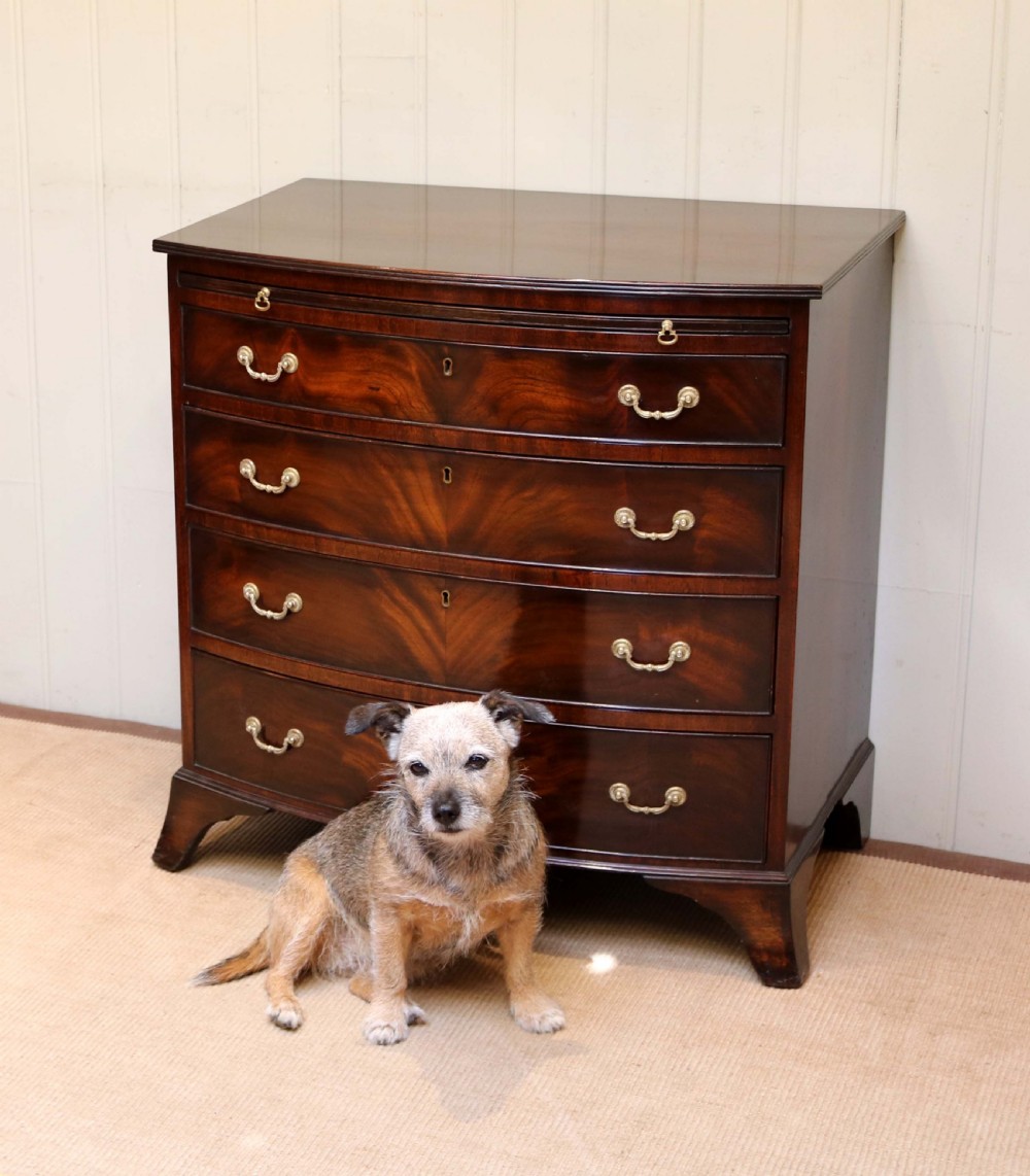Small Proportioned Edwardian Mahogany Chest Of Drawers  View VIII