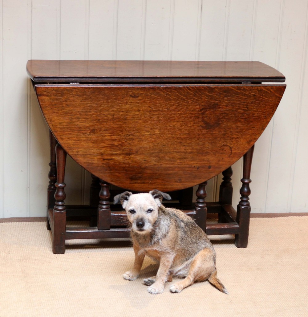C18th Century Oak Drop Leaf Dining Table View VIII
