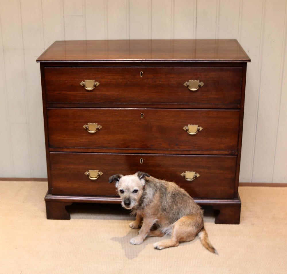 Georgian Oak Chest Of Drawers View IV