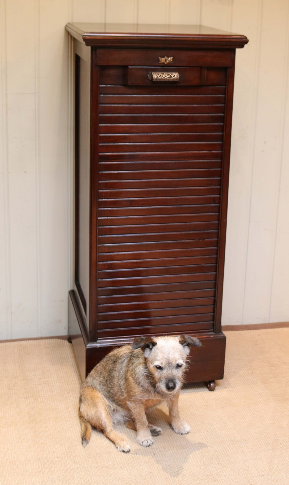 Edwardian Mahogany Filing Cabinet  View VIII