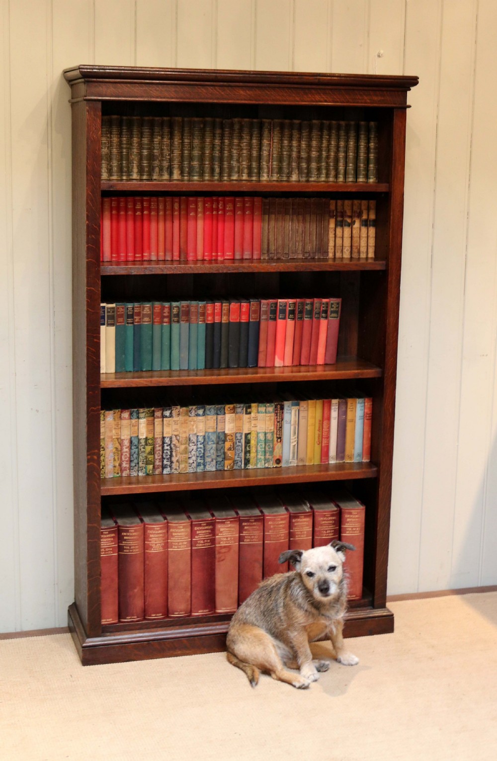 Tall Oak Open Bookcase View VI