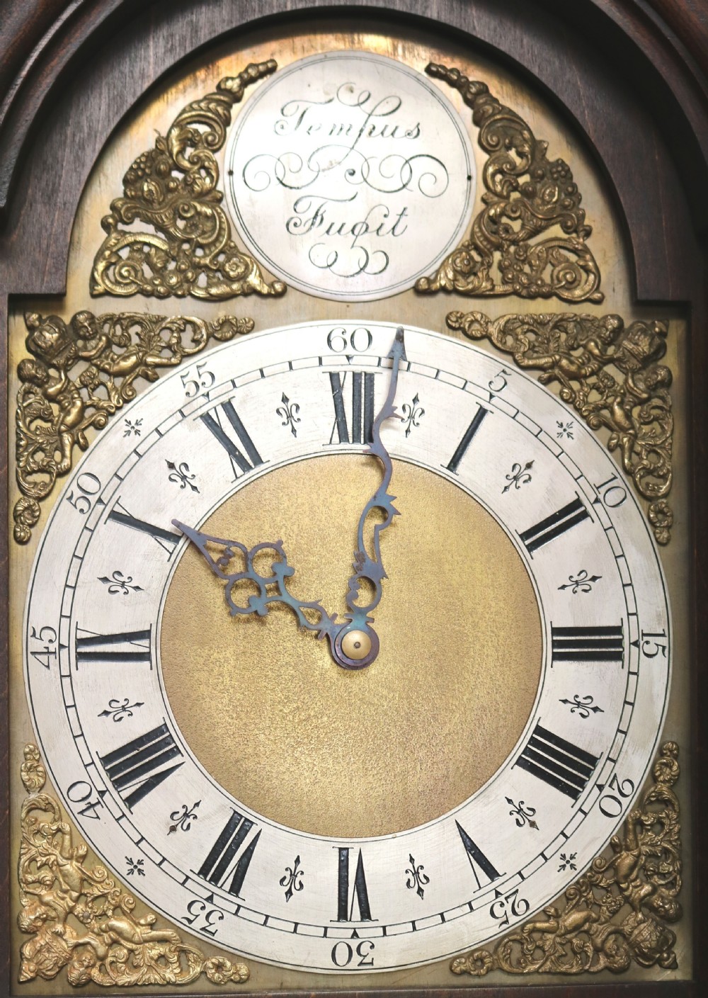 Small Oak chiming Longcase Clock View VII