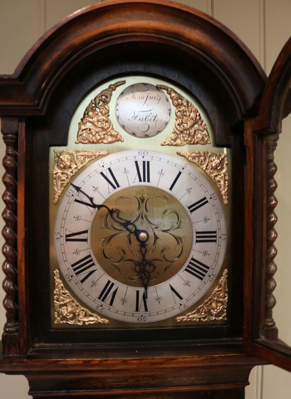 Small Golden Oak Chiming Longcase Clock View IX