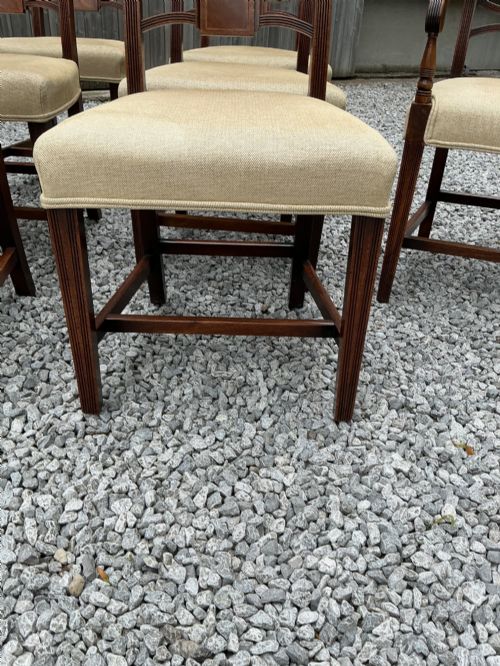A SUPERB SET OF 8 GEORGIAN CHAIRS - ADDITIONAL PHOTO 4
