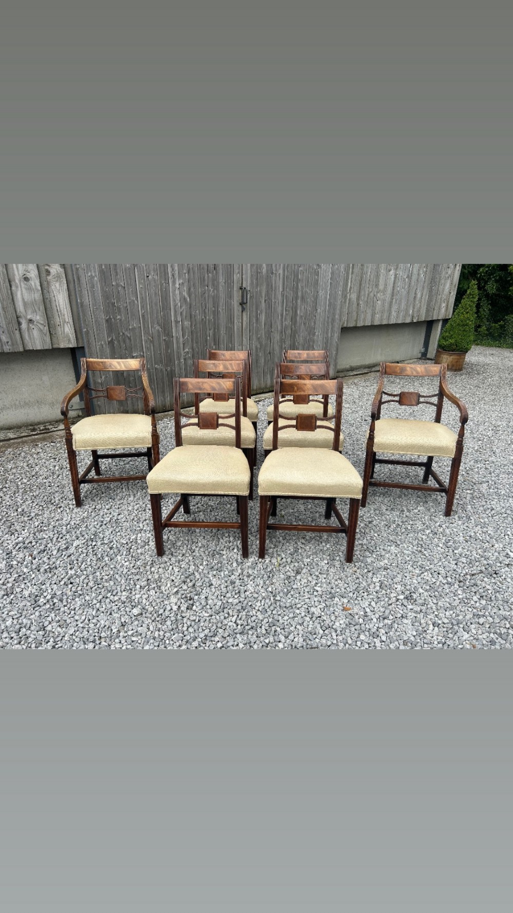 A set of eight Georgian mahogany dining chairs featuring reeded legs, carved bar backs, and beige upholstered seats, comprising six side chairs and two armchairs. View II