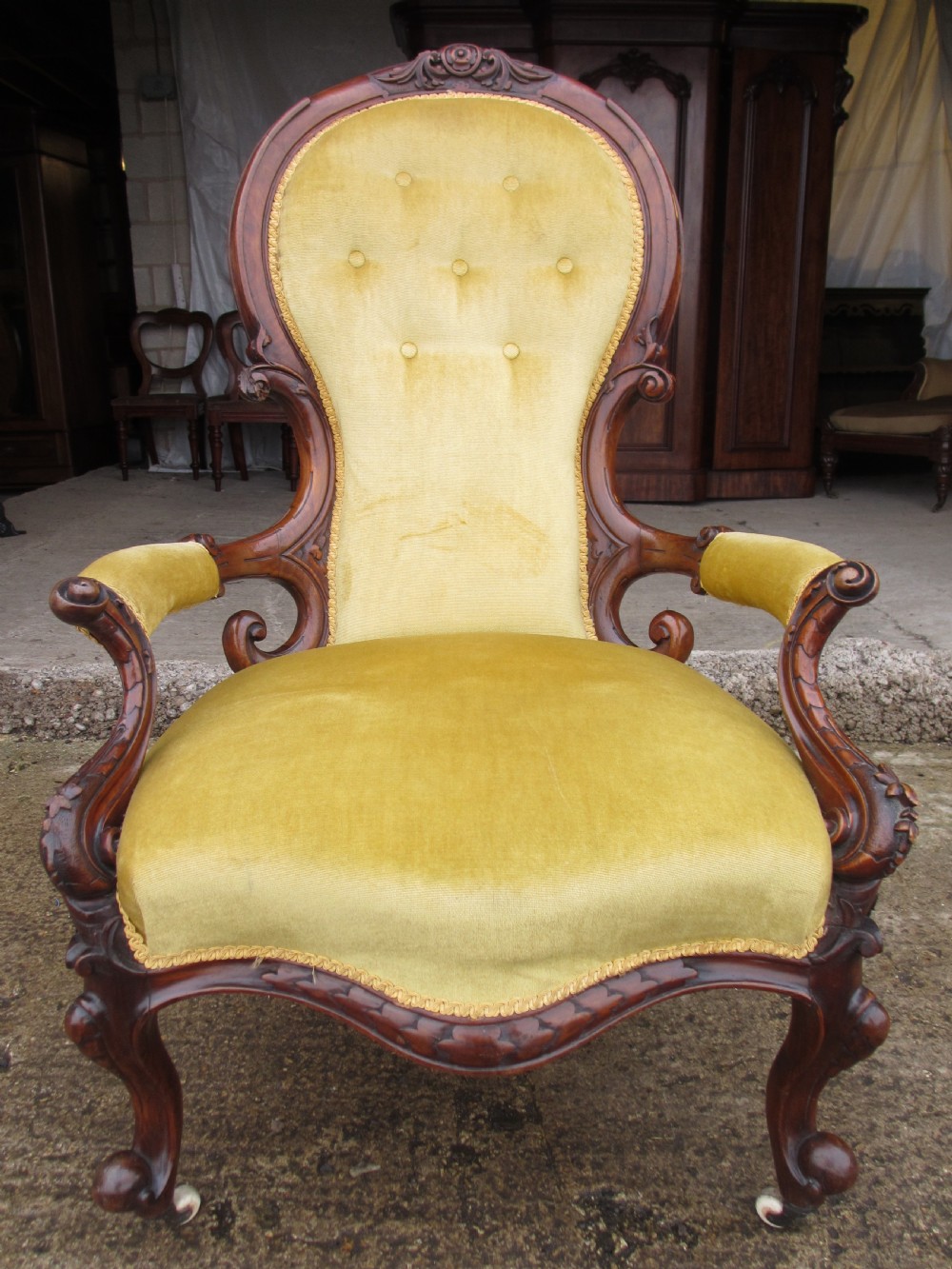 A Victorian walnut open armchair featuring a curved spoon back with button-tufted yellow velvet upholstery and carved cabriole legs.