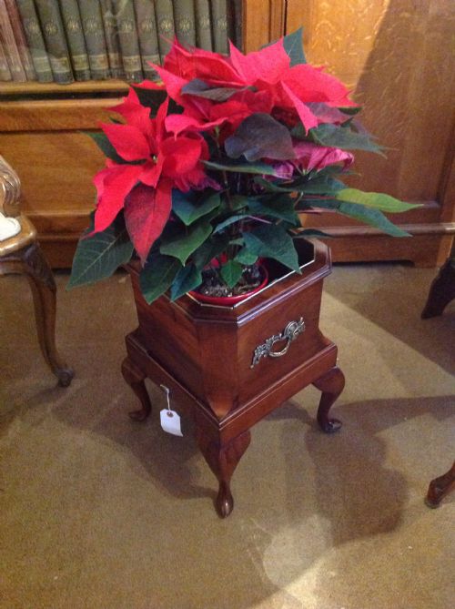 Mahogany Planter