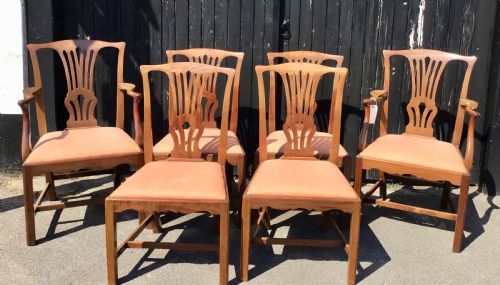 Set of 6 Mahogany Chairs