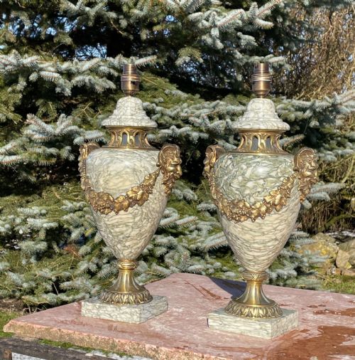 Pair of Marble and Brass Lamps