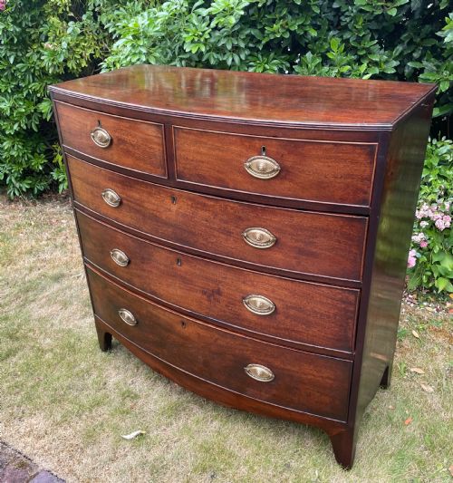 19th Century Mahogany Bow Front  Chest of Drawers